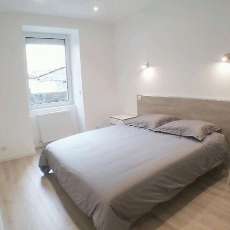 Appartement Luxueux Centre, 45 M2 Neuf & Cosy! Mulhouse Eksteriør billede